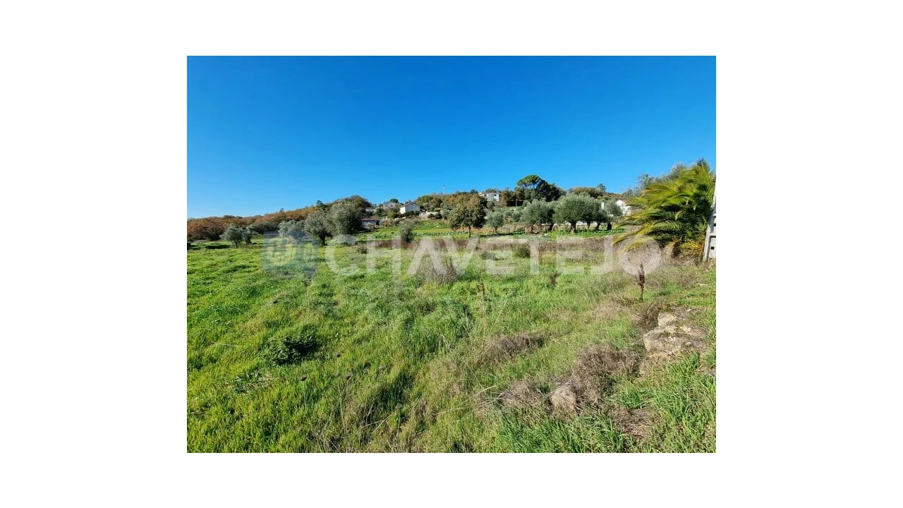 Terreno para Venda em Areias e Pias Foto 3