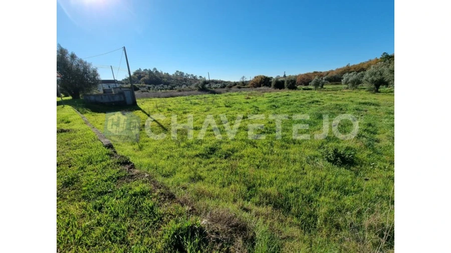 Terreno para Venda em Areias e Pias Foto 2