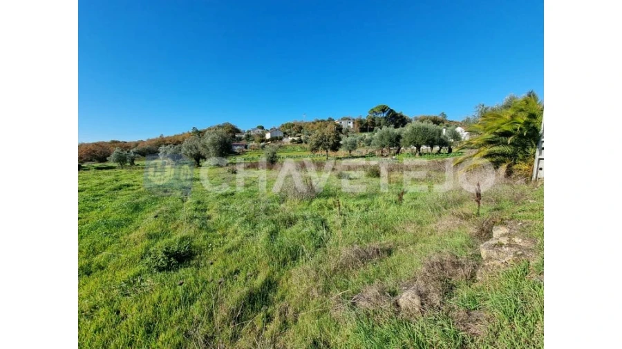Terreno para Venda em Areias e Pias Foto 3