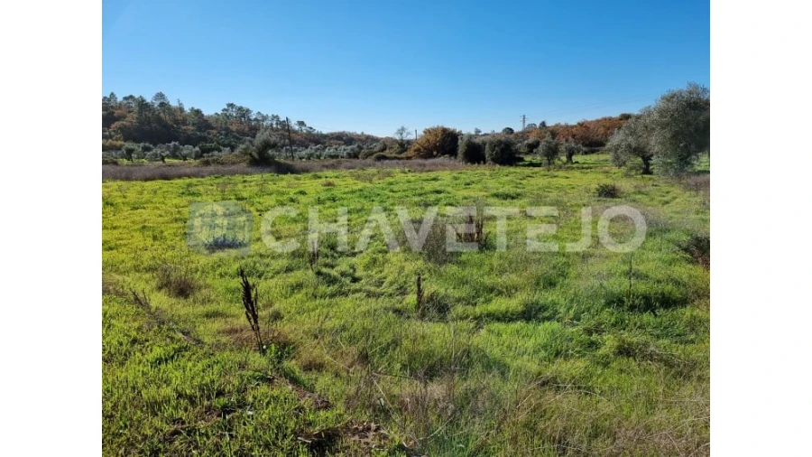 Terreno para Venda em Areias e Pias Foto 4
