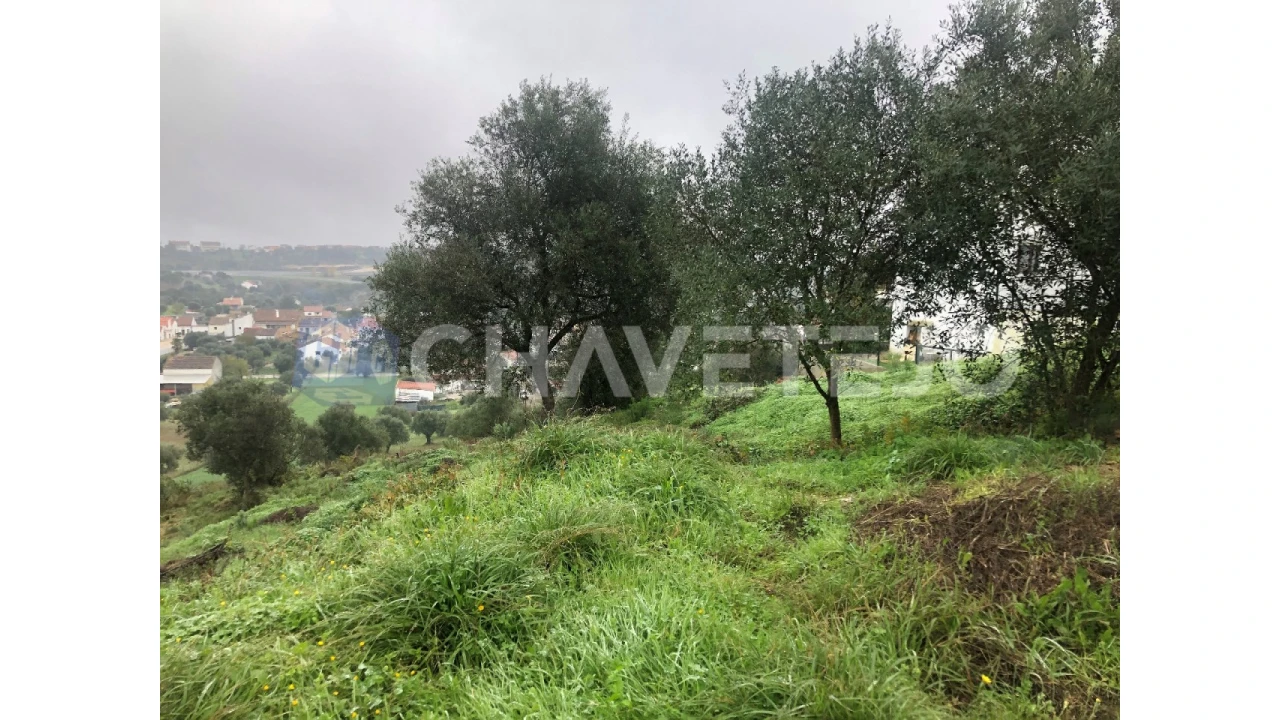 Terreno para Venda em Carregueiros Foto 4