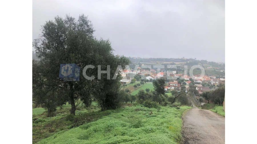 Terreno para Venda em Carregueiros Foto 8