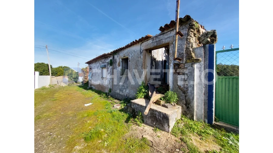 Moradia T4 para Venda em Serra e Junceira Foto 5