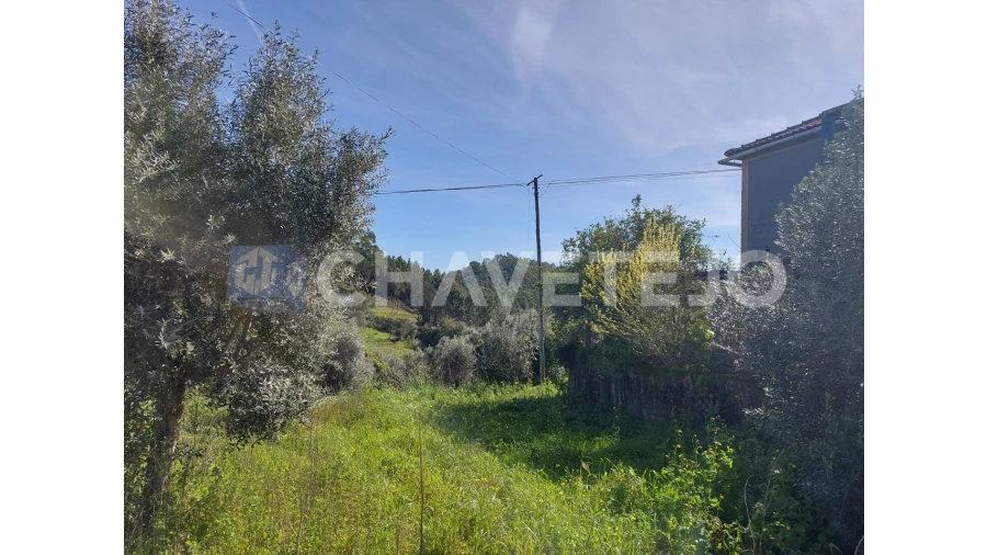 Moradia T4 para Venda em Serra e Junceira Foto 11