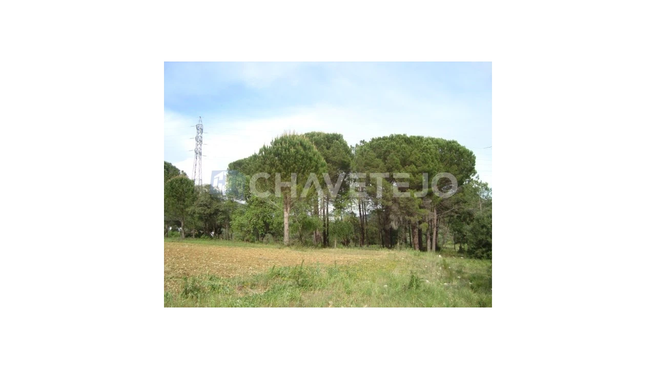 Moradia T2 para Venda em Casais e Alviobeira Foto 9