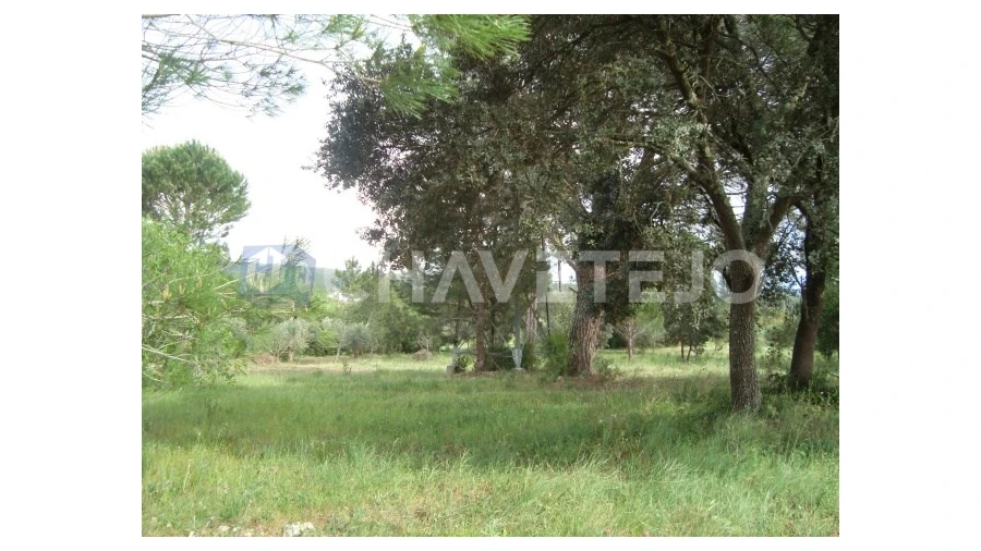 Moradia T2 para Venda em Casais e Alviobeira Foto 7