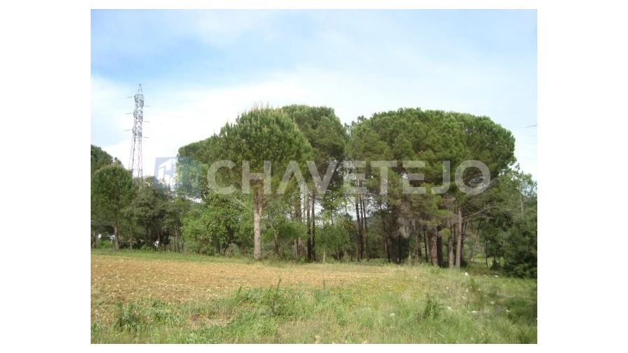 Moradia T2 para Venda em Casais e Alviobeira Foto 9