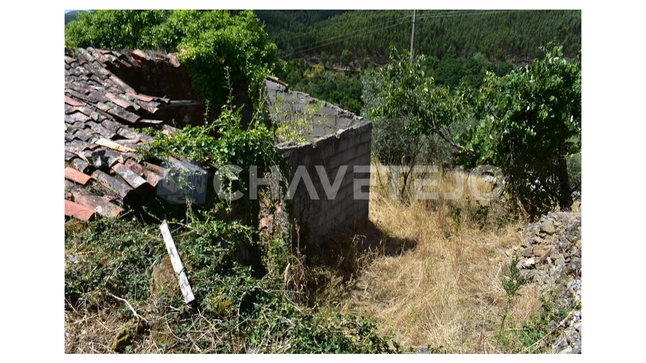 Terreno para Venda em Campelo Foto 1