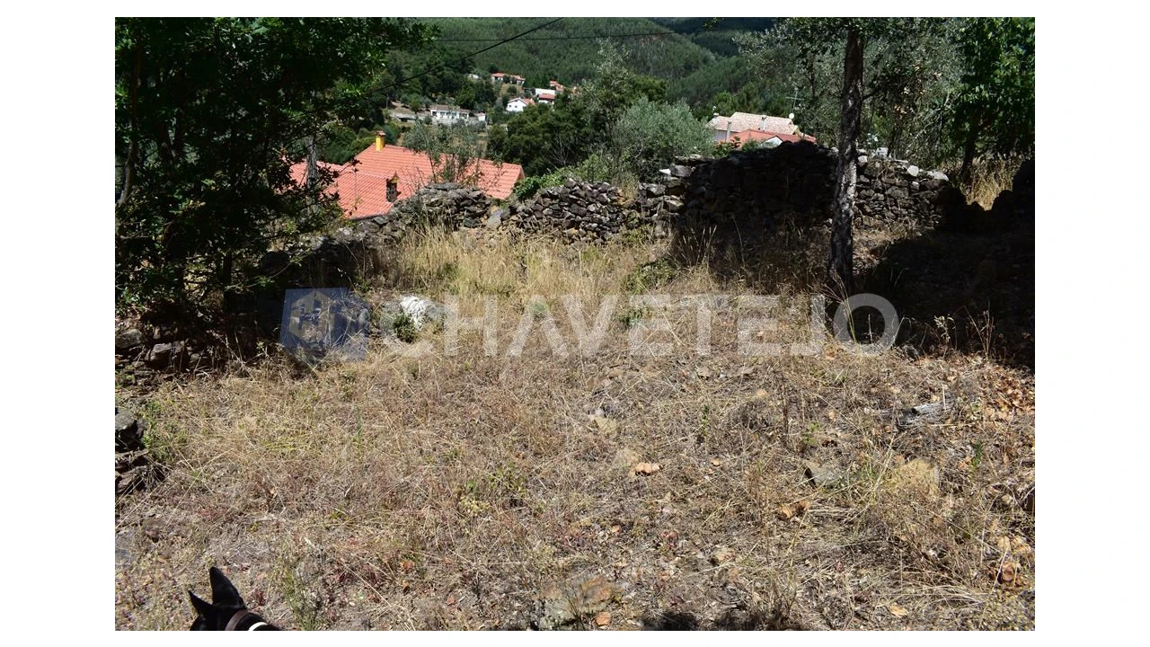 Terreno para Venda em Campelo Foto 4