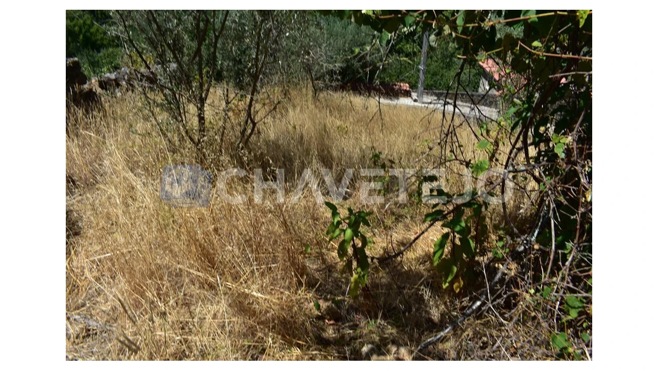 Terreno para Venda em Campelo Foto 5