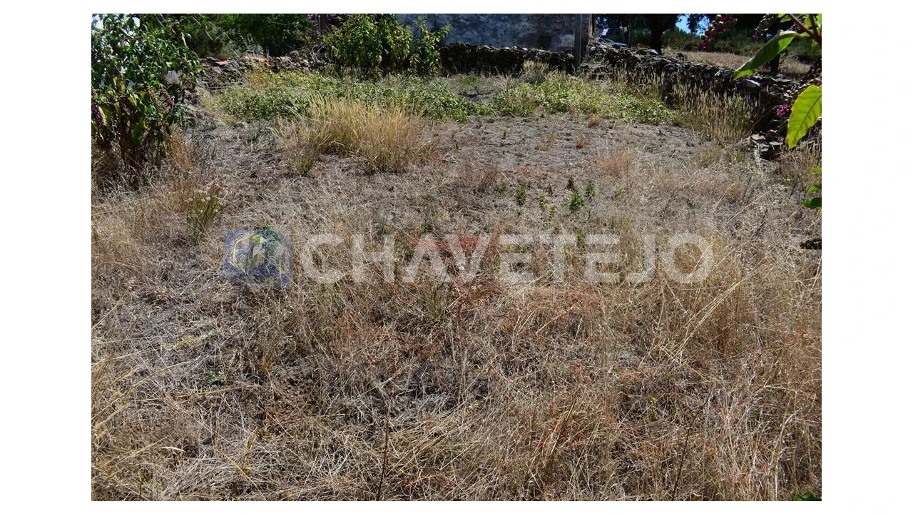 Terreno para Venda em Campelo Foto 6