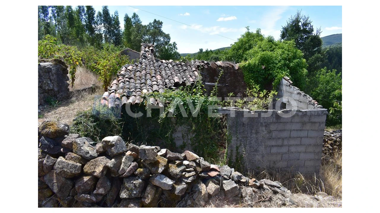 Terreno para Venda em Campelo Foto 7