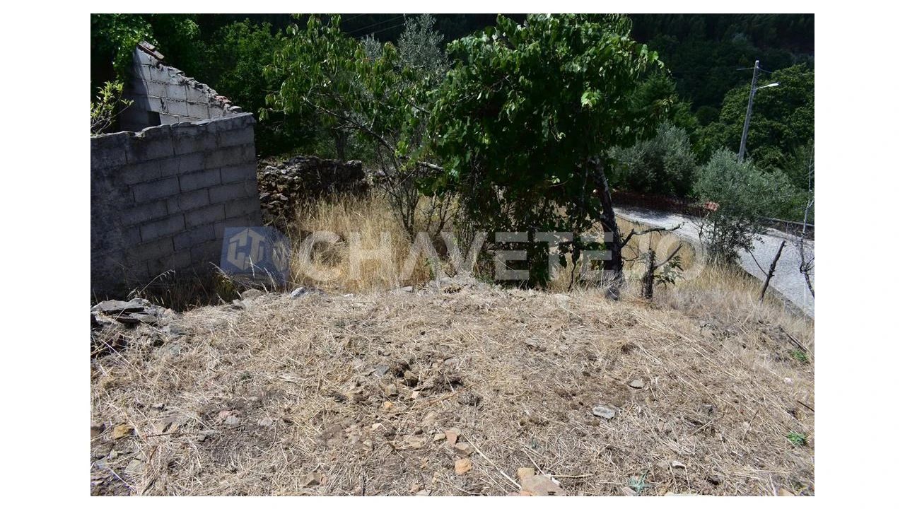 Terreno para Venda em Campelo Foto 8