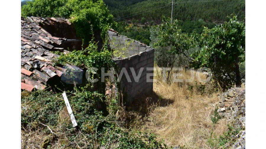 Terreno para Venda em Campelo