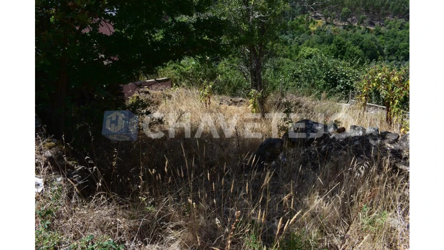 Terreno para Venda em Campelo Foto 3