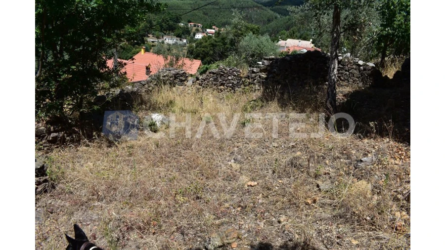 Terreno para Venda em Campelo Foto 4