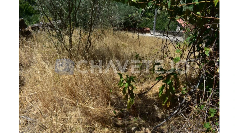 Terreno para Venda em Campelo Foto 5