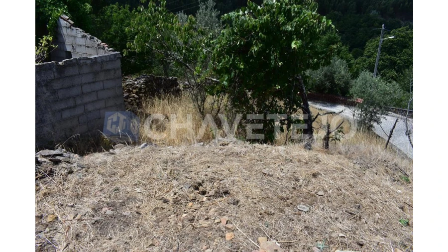 Terreno para Venda em Campelo Foto 8