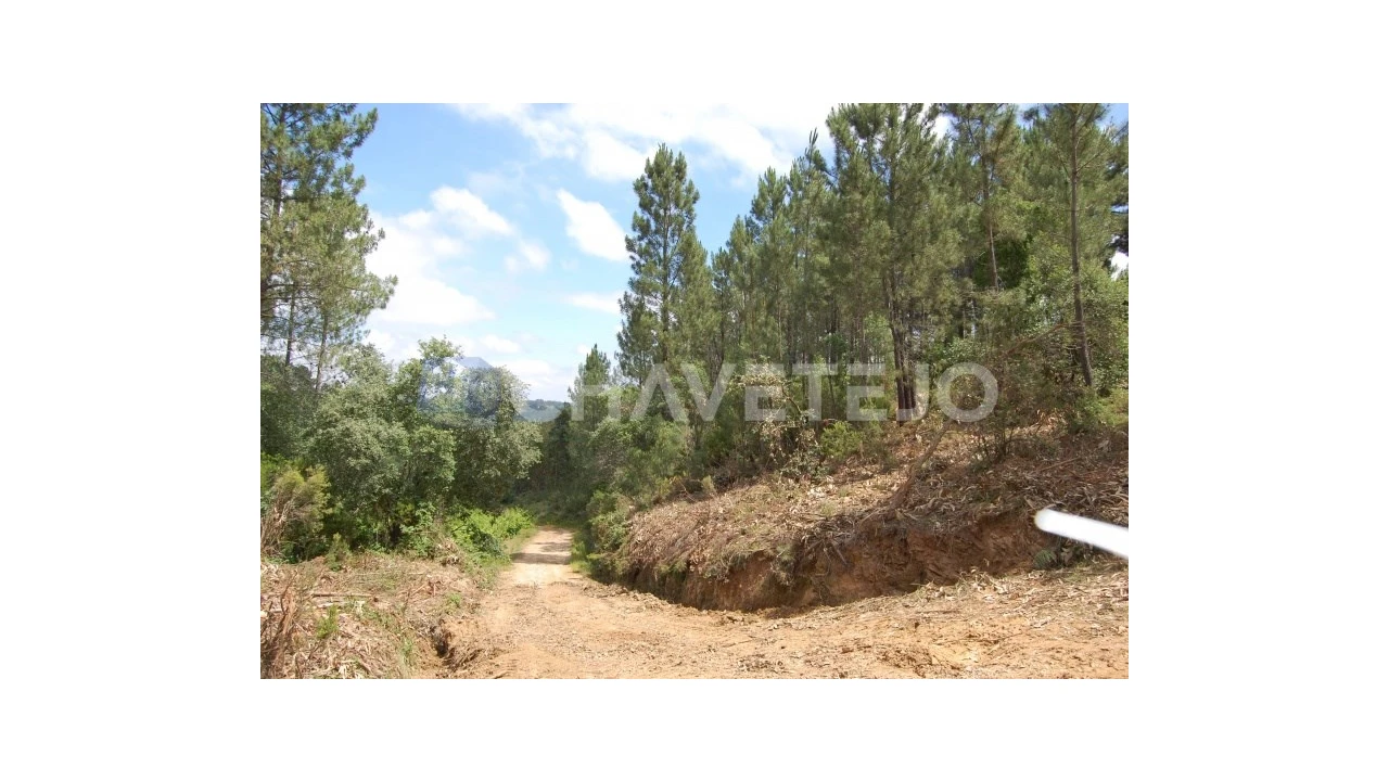 Terreno Agricola ou Rústico para Venda em Olalhas Foto 2