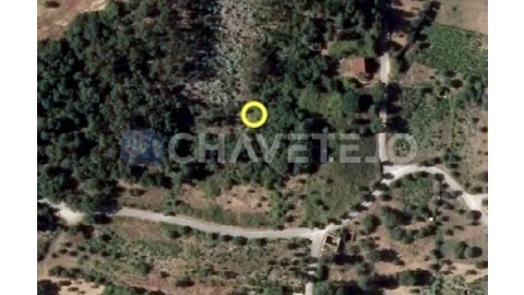 Terreno Agricola ou Rústico para Venda em Igreja Nova do Sobral