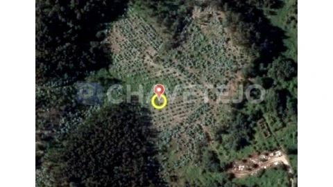 Terreno Agricola ou Rústico para Venda em Igreja Nova do Sobral