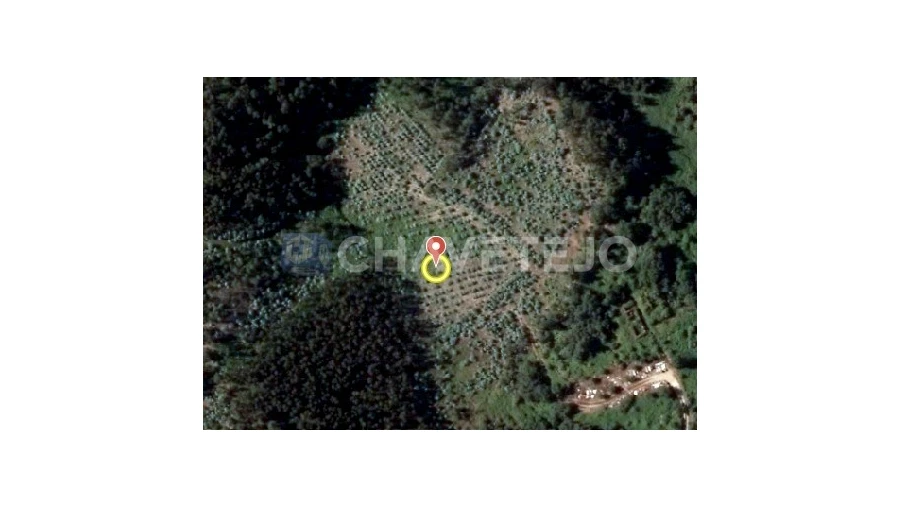 Terreno Agricola ou Rústico para Venda em Igreja Nova do Sobral Foto 1