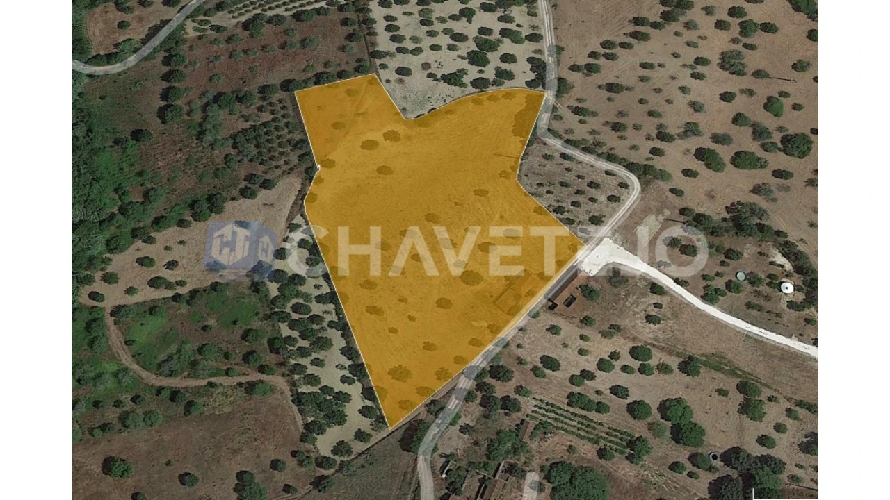 Quinta T2 para Venda em Torres Novas (Santa Maria, Salvador e Santiago) Foto 25