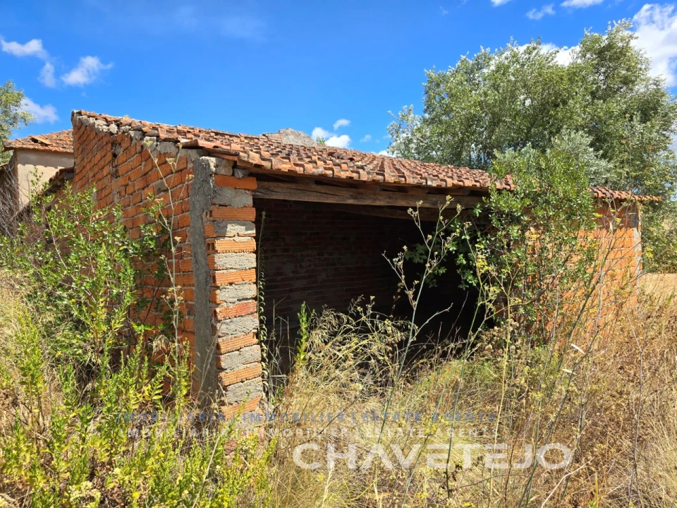 Quinta T2 para Venda em Torres Novas (Santa Maria, Salvador e Santiago) Foto 13