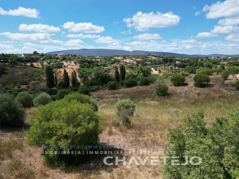 Quinta T2 para Venda em Torres Novas (Santa Maria, Salvador e Santiago) Foto 18