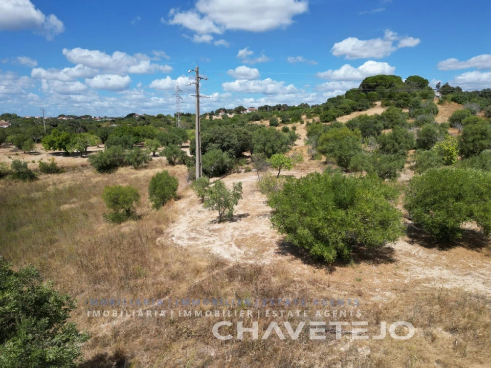 Quinta T2 para Venda em Torres Novas (Santa Maria, Salvador e Santiago) Foto 19