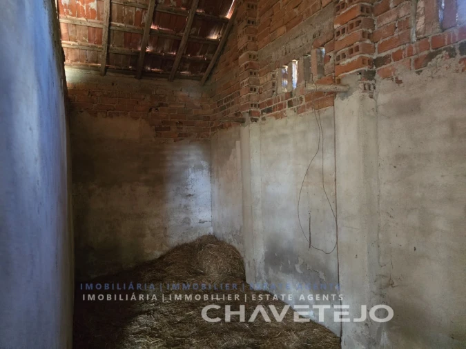 Quinta T2 para Venda em Torres Novas (Santa Maria, Salvador e Santiago) Foto 4