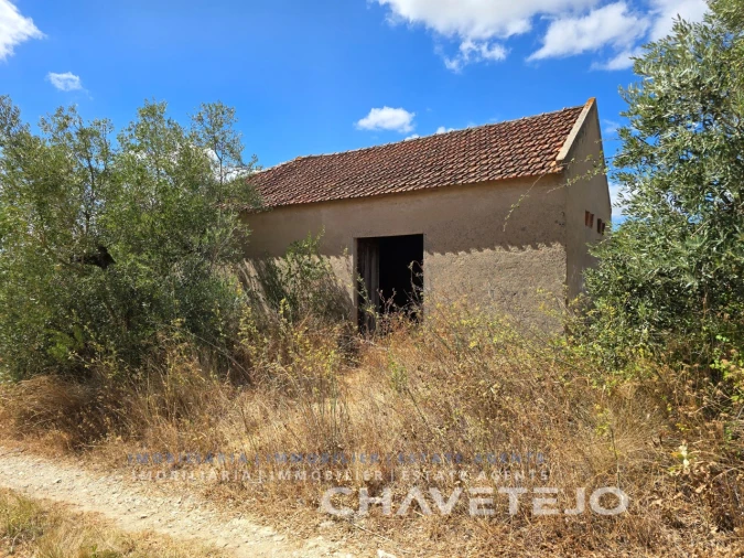 Quinta T2 para Venda em Torres Novas (Santa Maria, Salvador e Santiago) Foto 3