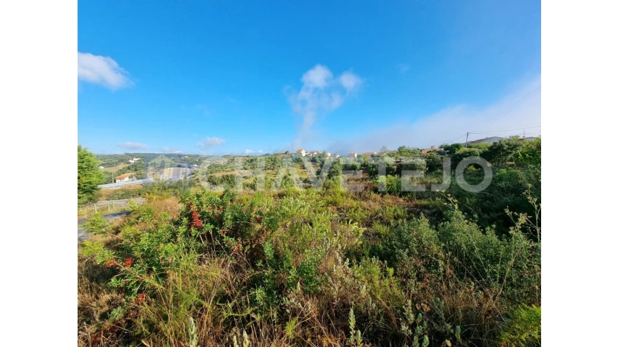 Terreno para Venda em Carregueiros
