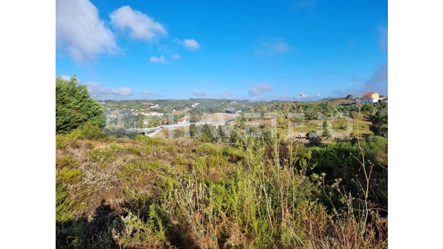 Terreno para Venda em Carregueiros Foto 8