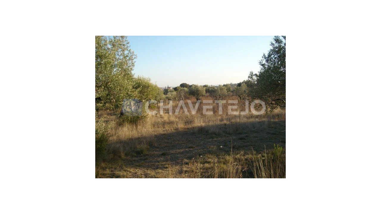 Terreno para Venda em Olaia e Paço Foto 2