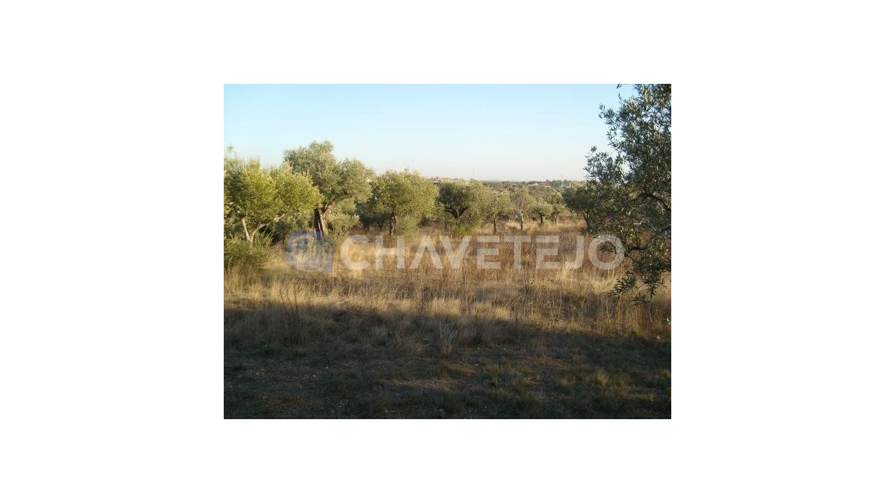 Terreno para Venda em Olaia e Paço Foto 3