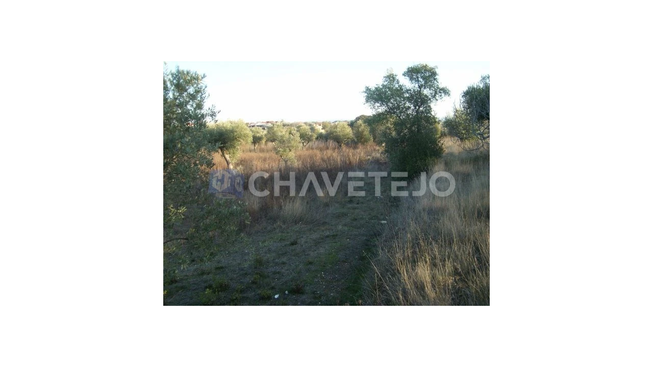 Terreno para Venda em Olaia e Paço Foto 4