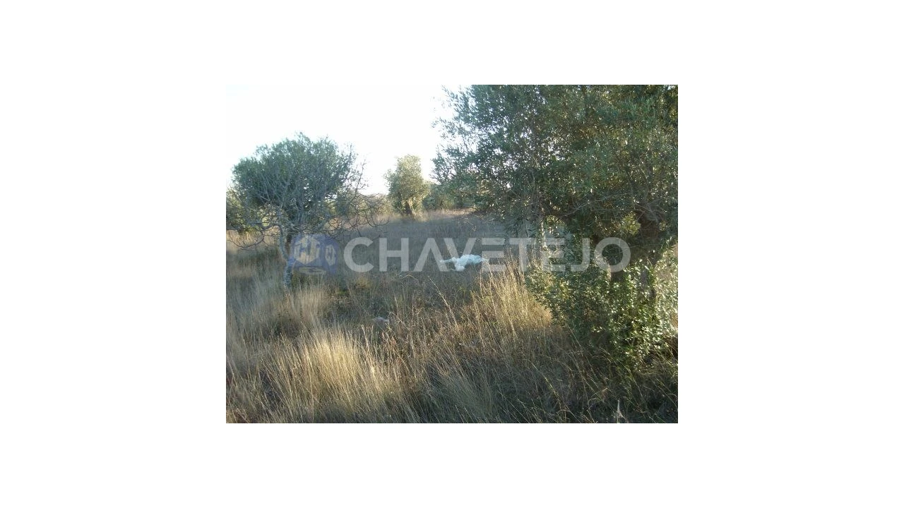 Terreno para Venda em Olaia e Paço Foto 5