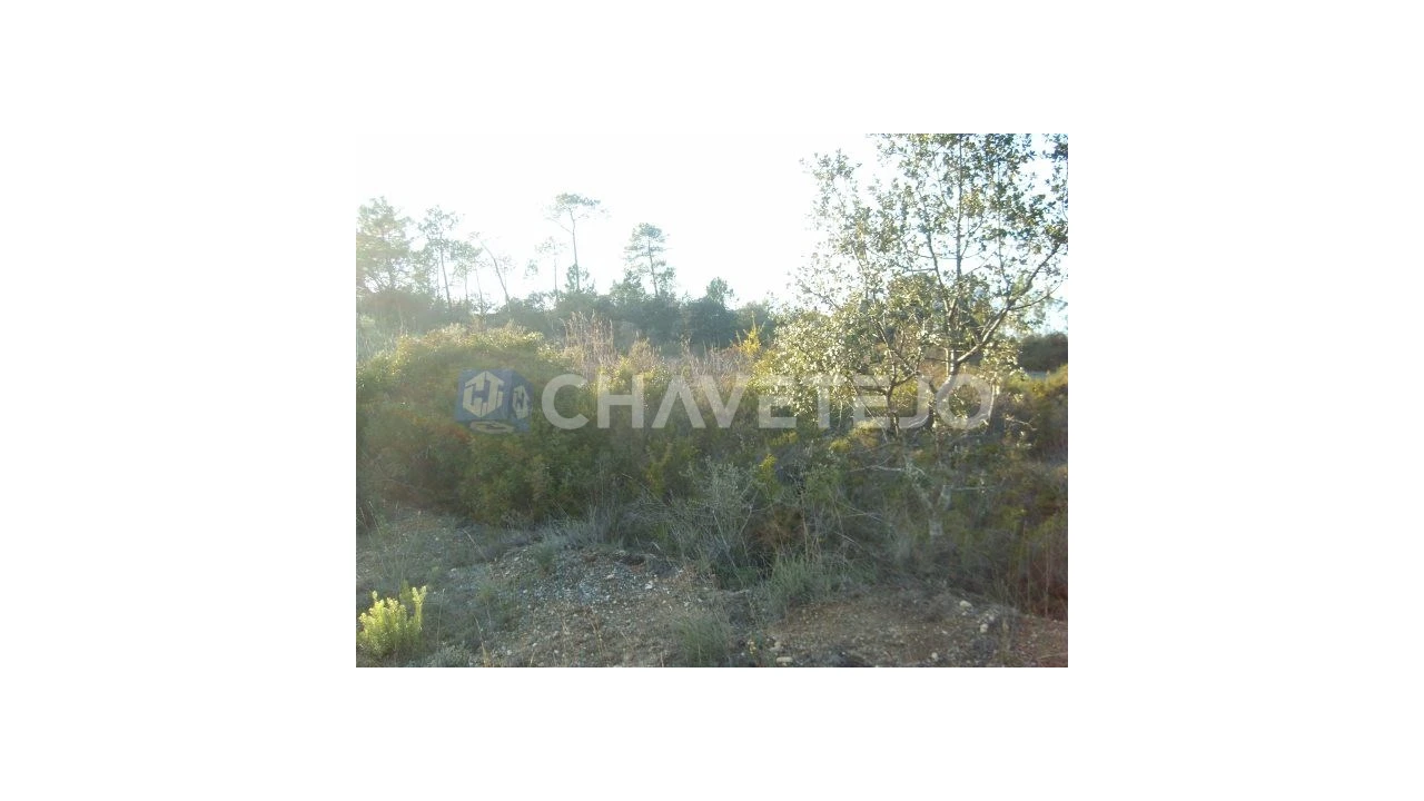 Terreno para Venda em Olaia e Paço Foto 6