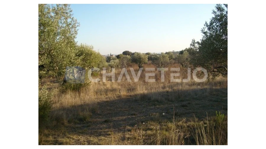 Terreno para Venda em Olaia e Paço Foto 2