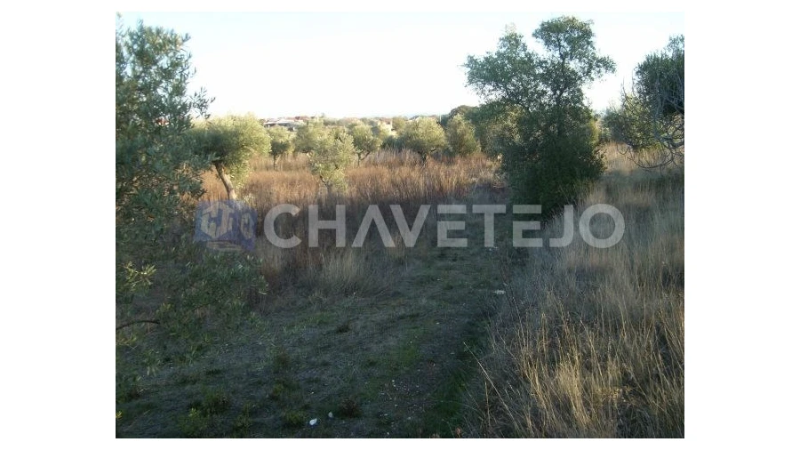 Terreno para Venda em Olaia e Paço Foto 4