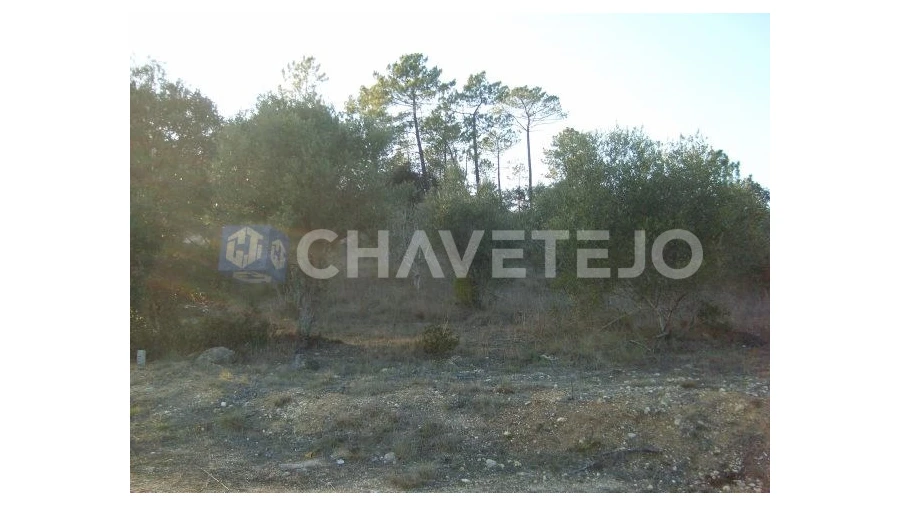 Terreno para Venda em Olaia e Paço Foto 7