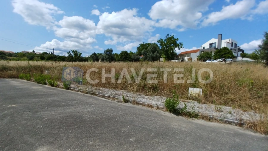 Terreno para Venda em São João Baptista e Santa Maria dos Olivais Foto 3