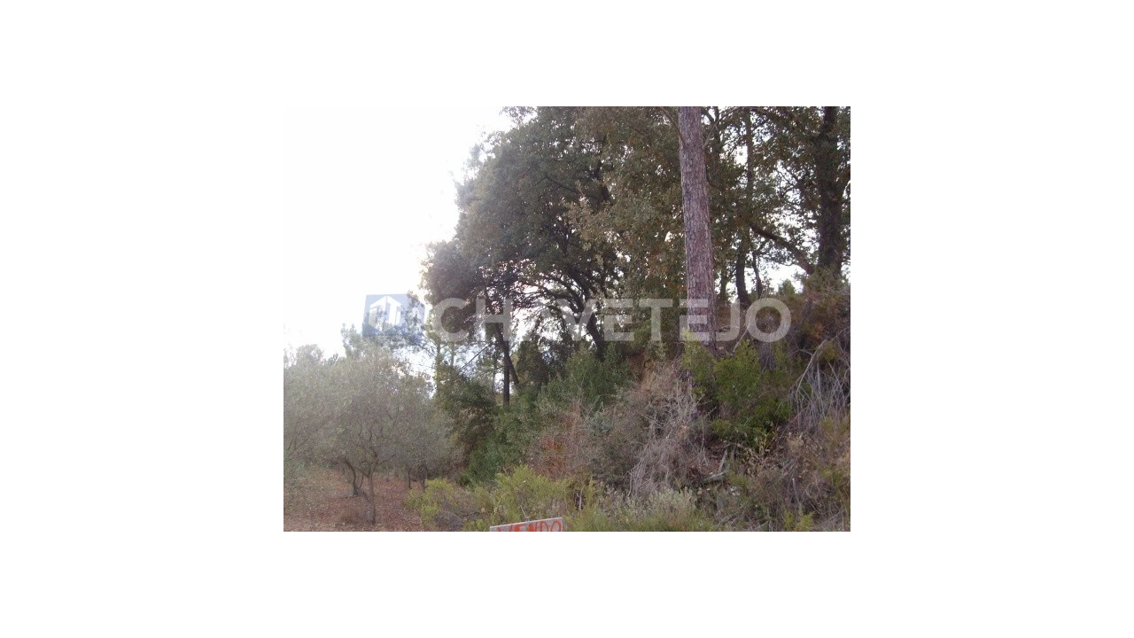 Terreno para Venda em Paialvo Foto 3