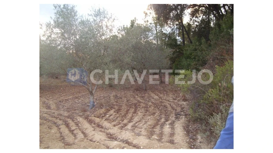 Terreno para Venda em Paialvo Foto 2