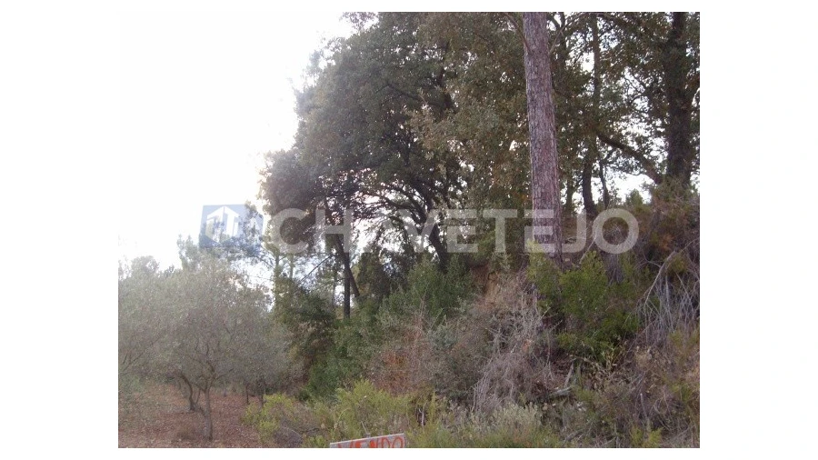 Terreno para Venda em Paialvo Foto 3