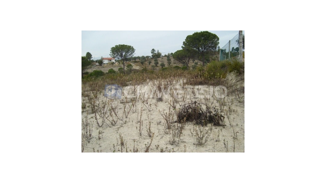 Terreno para Venda em Carregueiros Foto 3