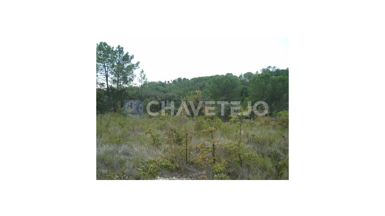 Terreno para Venda em Carregueiros Foto 10