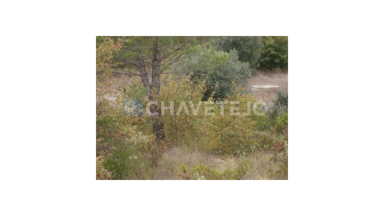 Terreno para Venda em Carregueiros Foto 11