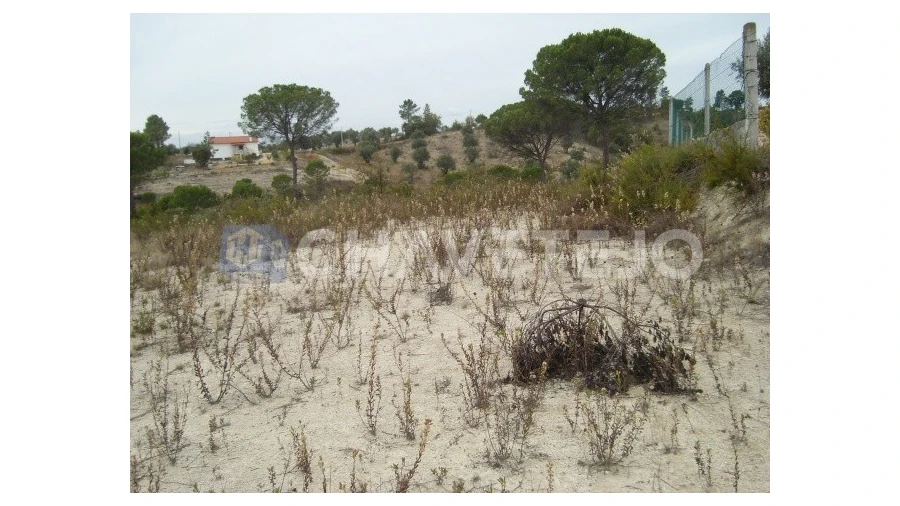 Terreno para Venda em Carregueiros
